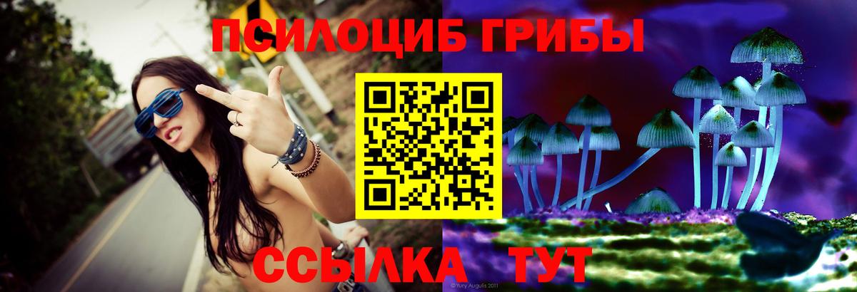 Галлюциногенные грибы GOLDEN TEACHER  где купить наркоту  Псилоцибиновые грибы Cubensis  Благовещенск  Вход с VPN 